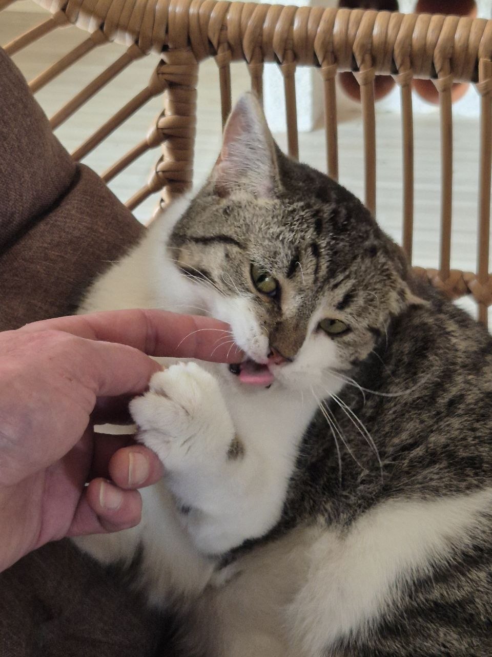 Karlchen beim Erkunden